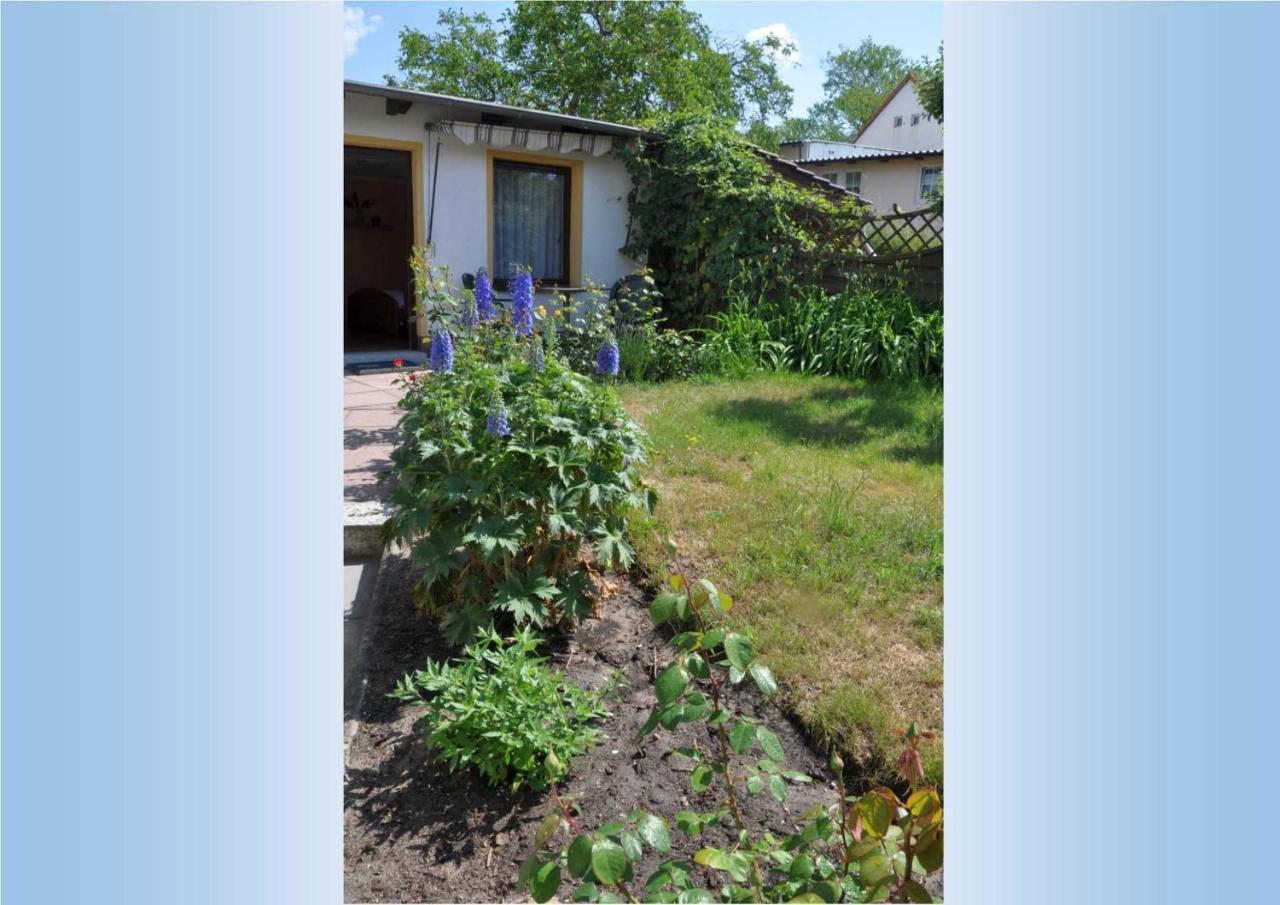 Ahlbeck_Seebadwohnung 03 塞巴特黑灵斯多夫 外观 照片